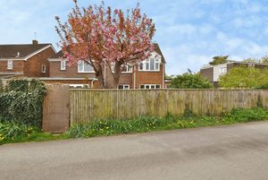 Photo 11- click for photo gallery